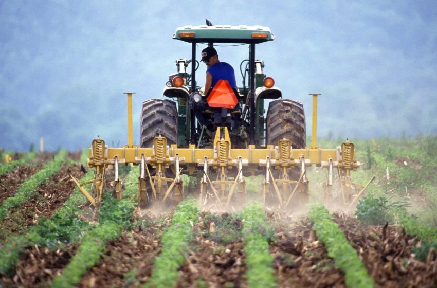  Leilão invertido ajudou a poupar 803 milhões kz dos 17 mil milhões previstos para subvencionar fertilizantes