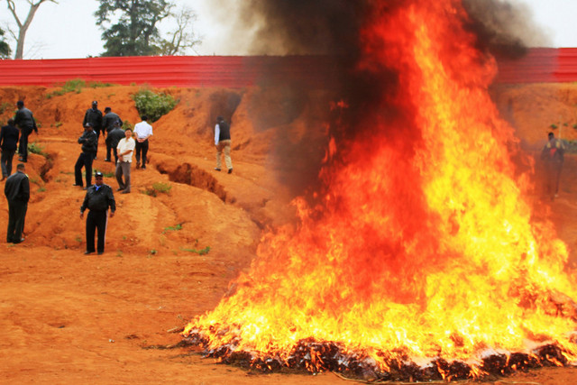  SIC queima mais de 100 quilos de cocaína e mil de liamba em Luanda