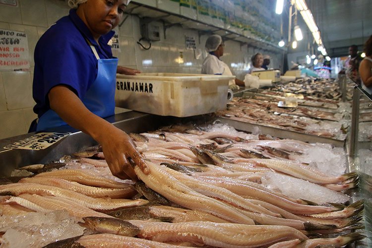 PR aprova duas garantias soberanas de 47,1 milhões de euros para a construção de um entreposto congelado de pescado