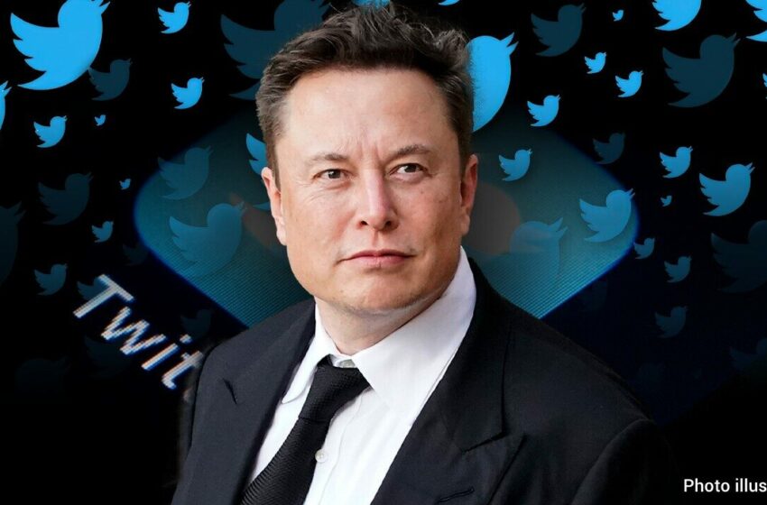  Elon Musk dá indicações de que Trump não deve voltar ao Twitter antes das eleições intercalares dos EUA