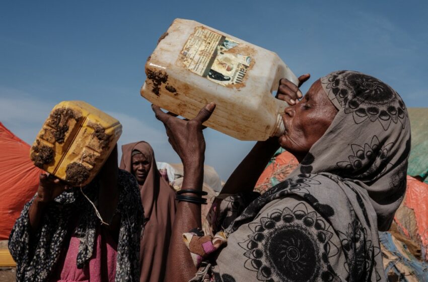  Corno de África. 3,3 milhões de pessoas precisam de assistência urgente