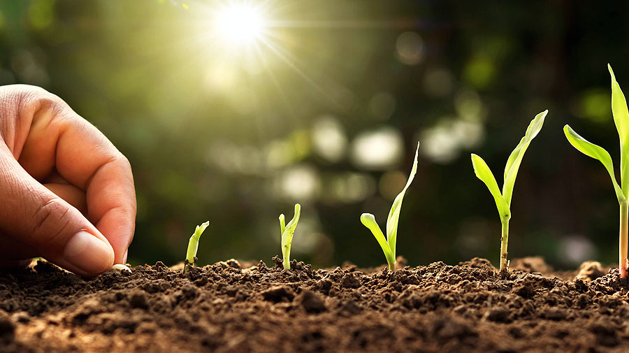 ANPG disponibiliza ao Fundo de Apoio ao Desenvolvimento Agrário um milhão de dólares para elevar o sector agrícola