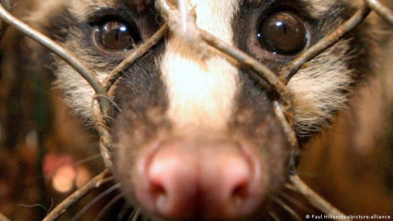  Proibida a venda ambulante de animais vivos, medicamentos, bebidas alcoólicas e combustíveis em todo o país
