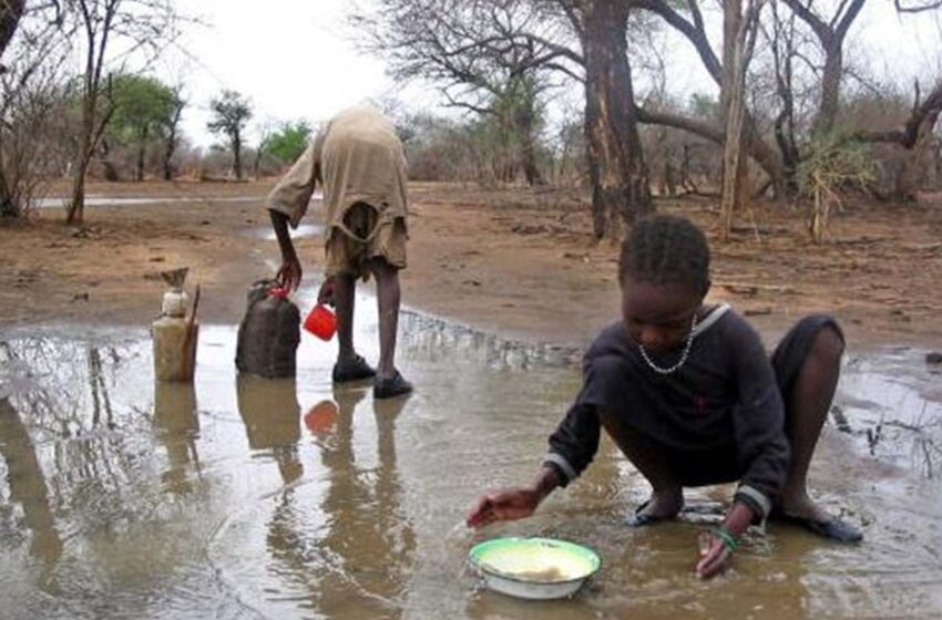  Unicef revela ter tratado de 100 mil crianças desnutridas em três províncias do país em 2023