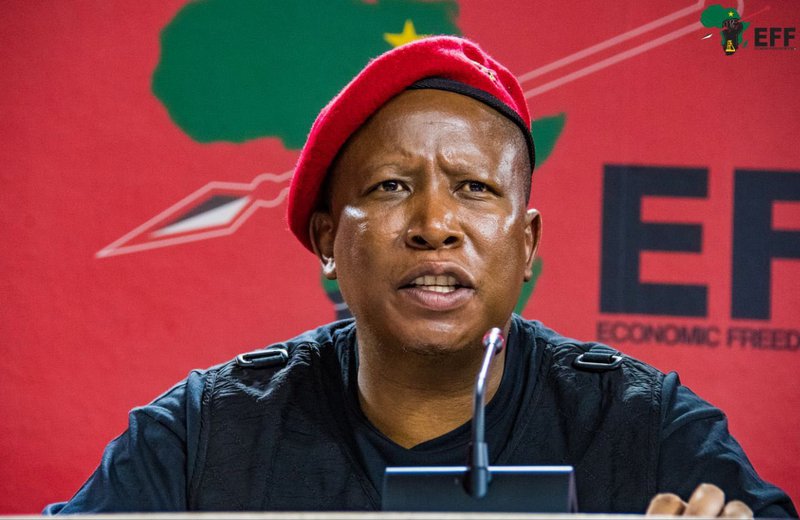  África do Sul. Partidos pedem investigação a Julius Malema do EFF