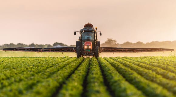  Governo aprova ajuste directo de 8,9 milhões USD para reabilitação do sistema de transferência e tratamento de água do Pólo Agro-Industrial da Quiminha