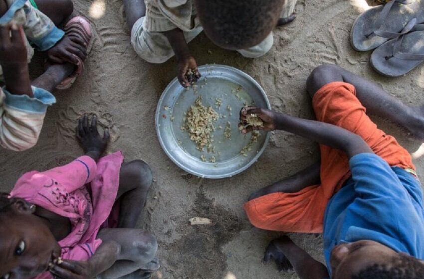  PAM coloca Angola entre os países com uma das mais elevadas taxas de desnutrição crónica infantil do mundo. Quatro em cada dez crianças com menos de cinco anos são vítimas do fenómeno