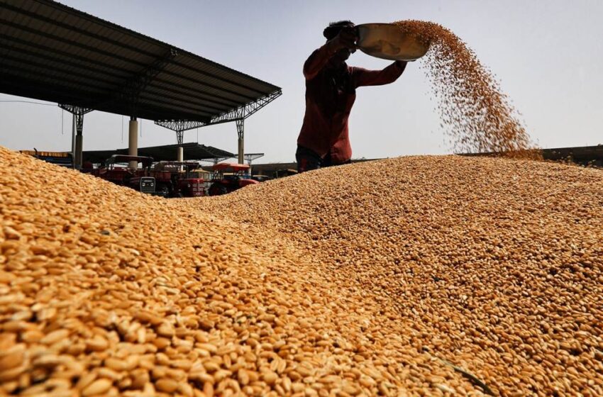  Angola deixa de importar farinhas de trigo e de milho. Governo ordena suspensão do licenciamento para a importação de vários produtos