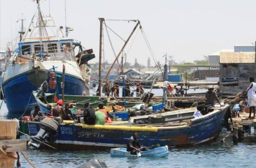  PR aprova ajustes directos de quase 300 milhões USD para obras nos portos pesqueiros de Cabinda, Luanda, Namibe e Porto Amboim
