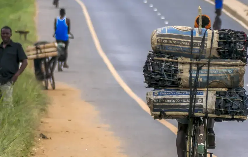  Moçambique. Polícia apreende 1 400 sacos de carvão com destino à África do Sul